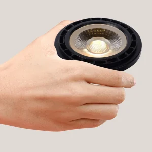 Lichtbron ES111 | LED Dimbaar | Ø11 | Zwart